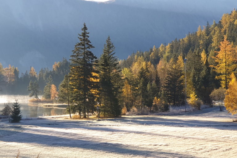 Pension En plein Air